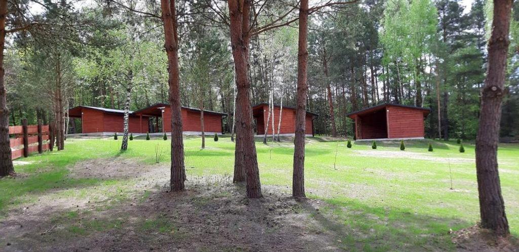 Domki Wrzosowe Wzgorza Nr2 Horyniec Extérieur photo